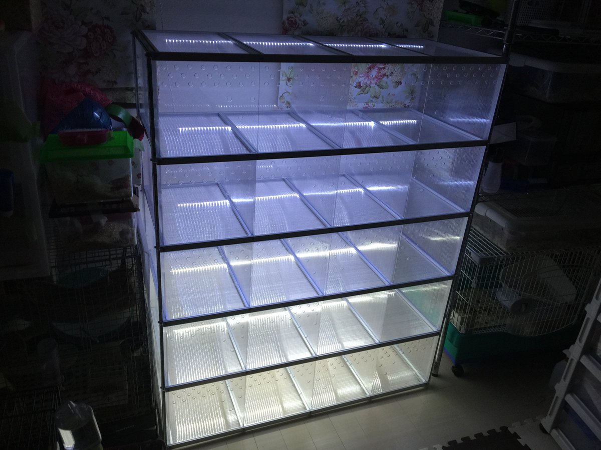 ヘビマンション　多頭展示ケージの画像