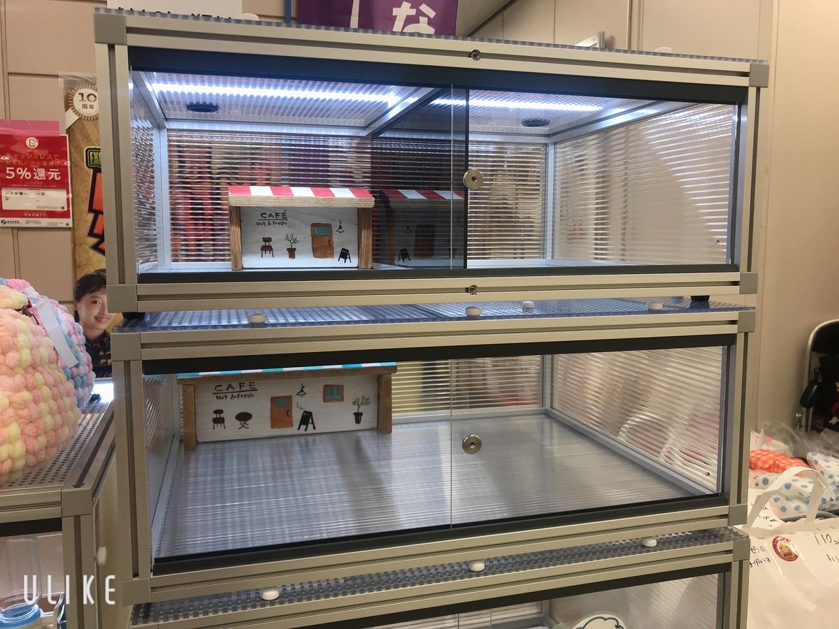 レオパ向け　2室分けケージ