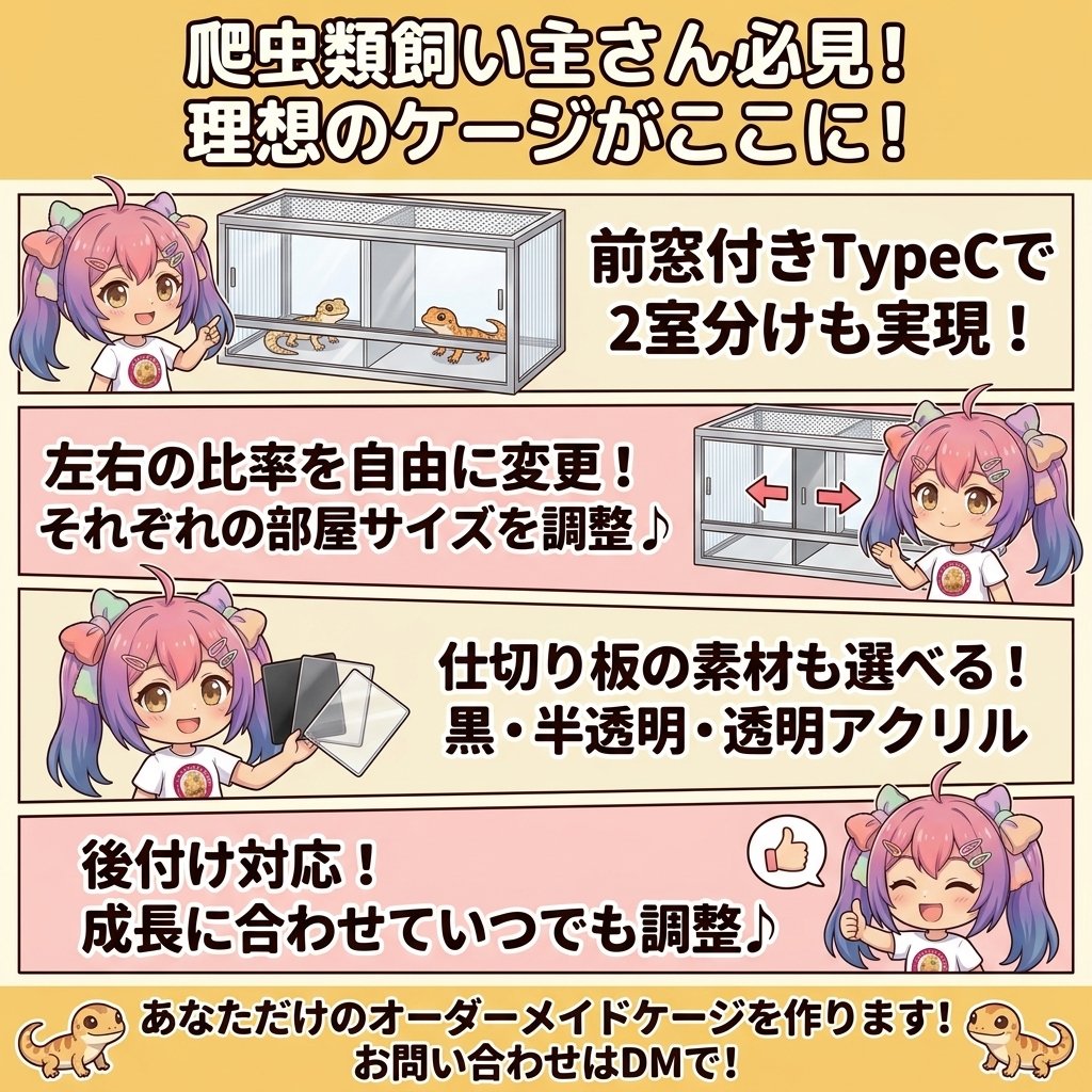 【爬虫類飼い主さん必見！】前窓付きTypeCで「2室分け」を実現したオーダーケージ🦎✨
