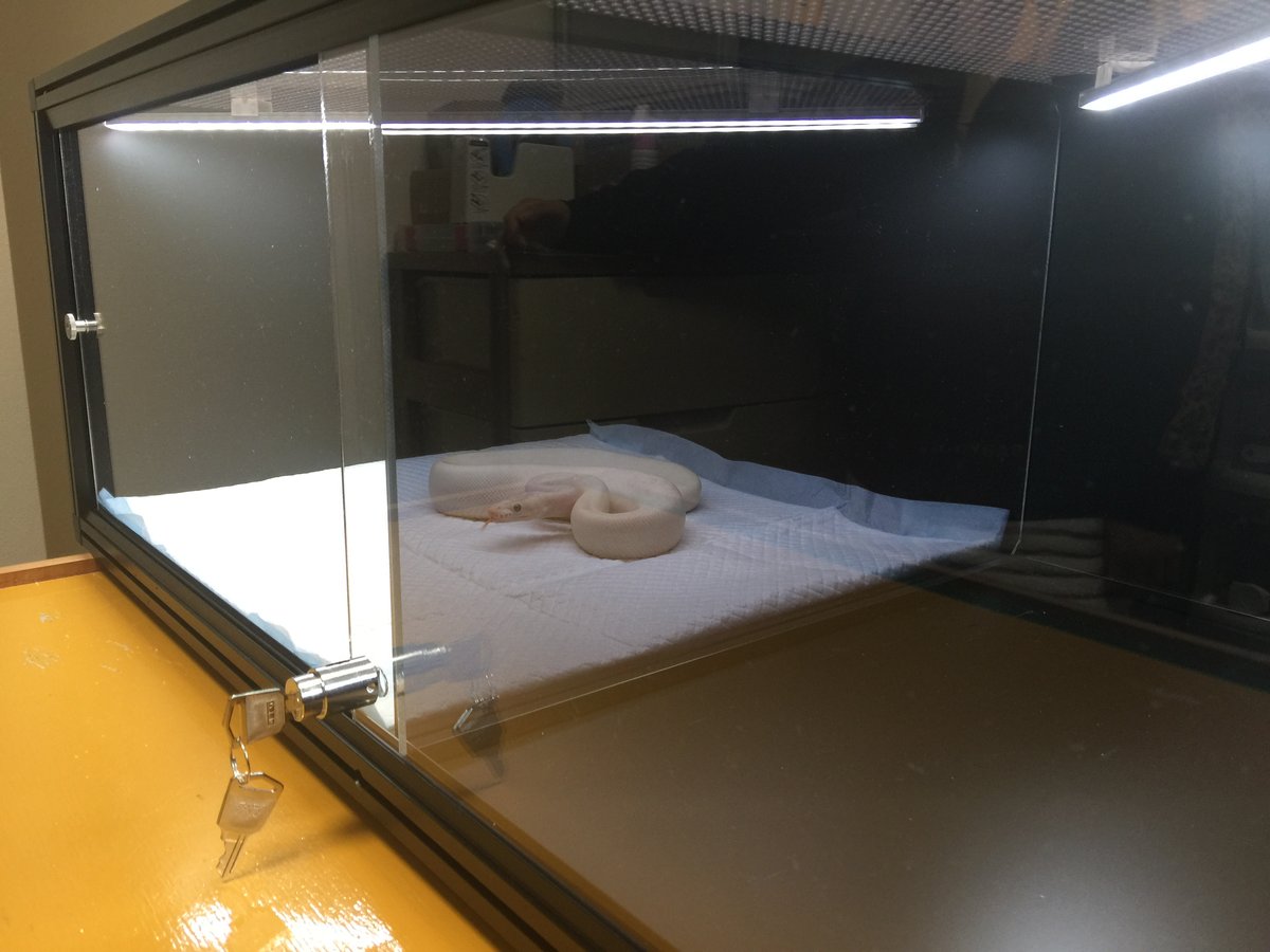 ボールパイソン　2室分けケージ　仕切り板の見た目（グレースモーク半透明）の画像