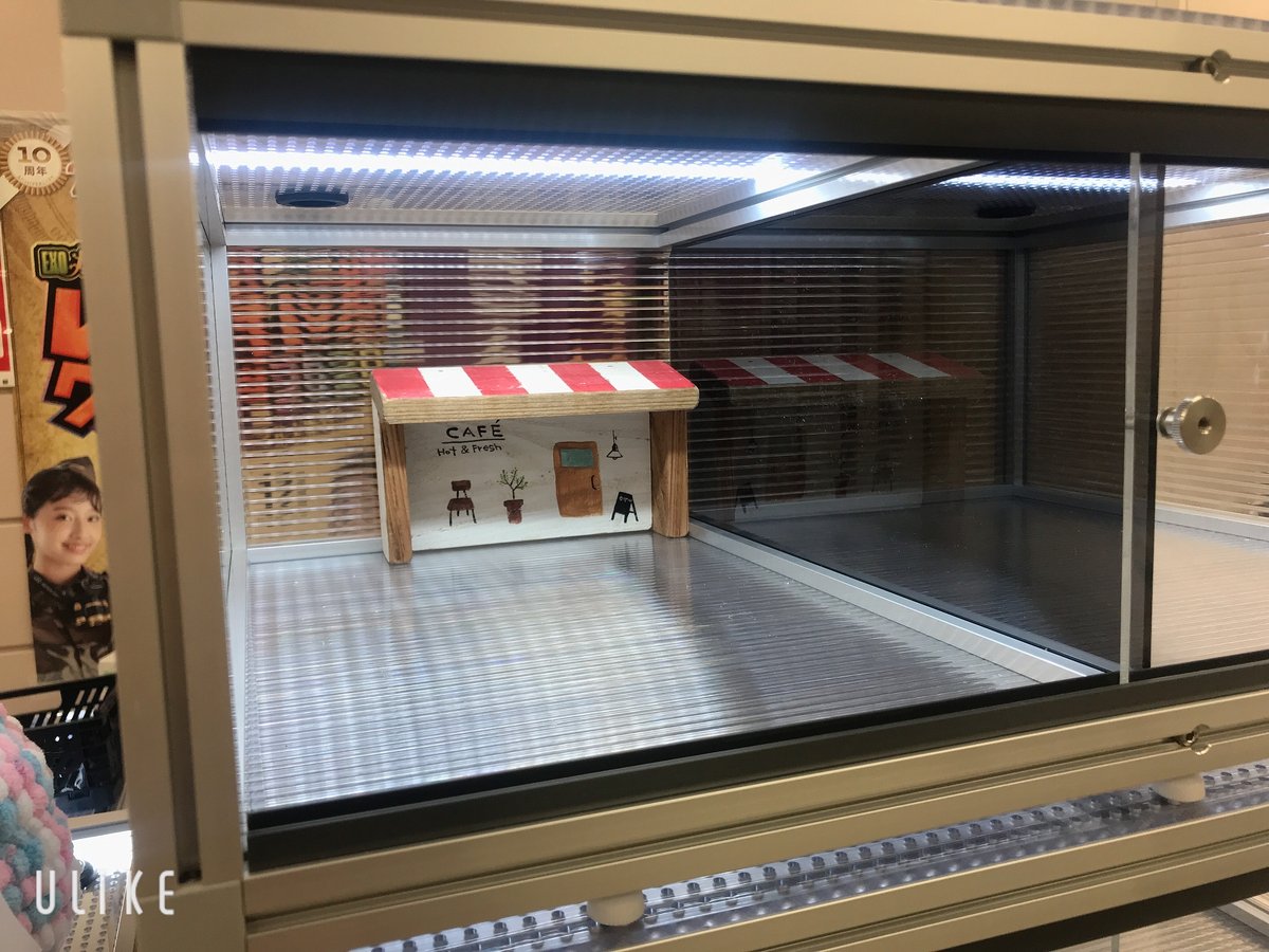 レオパ向け　2室分けケージの画像