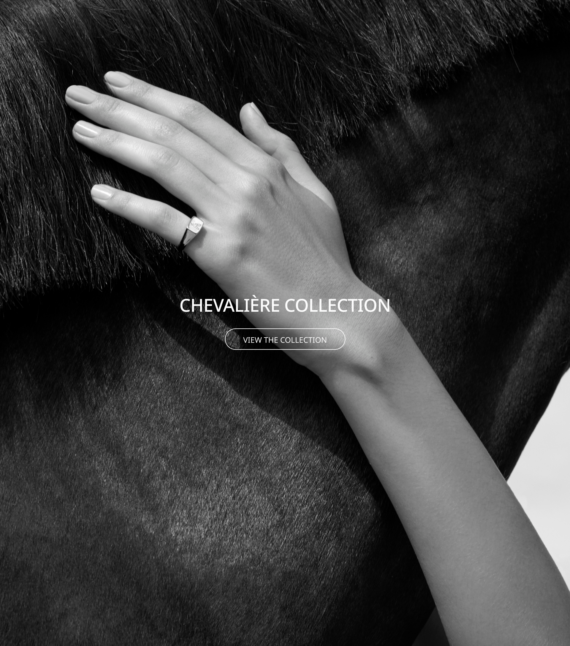 /lp/chevalier-collection link