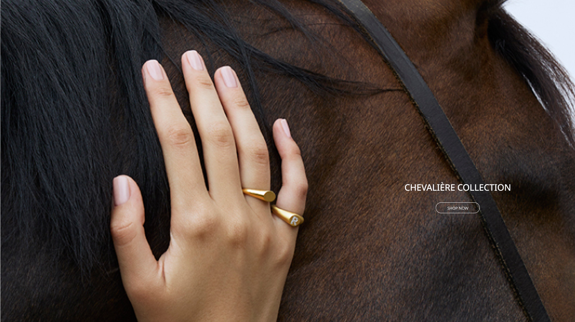 ホーム | ブランイリス オンラインストア