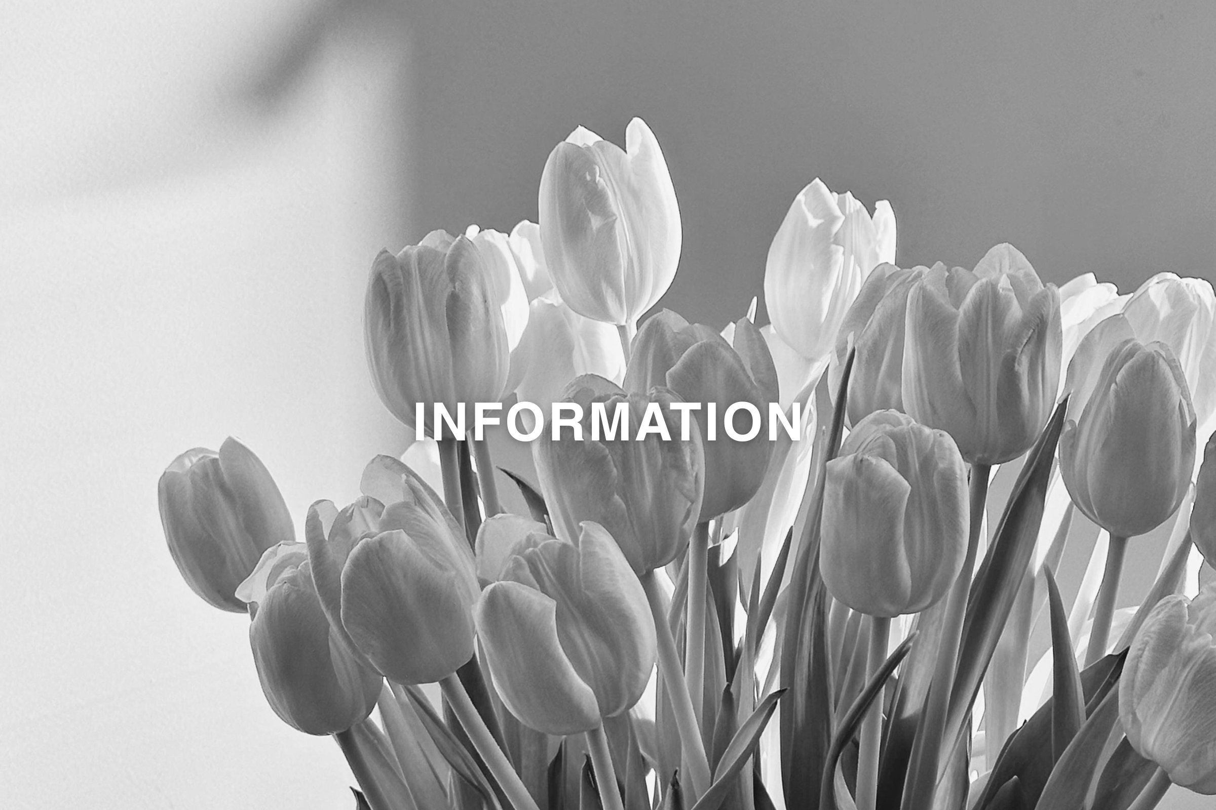 ゴールデンウィーク期間中の配送およびお問い合わせに関するお知らせサムネイル