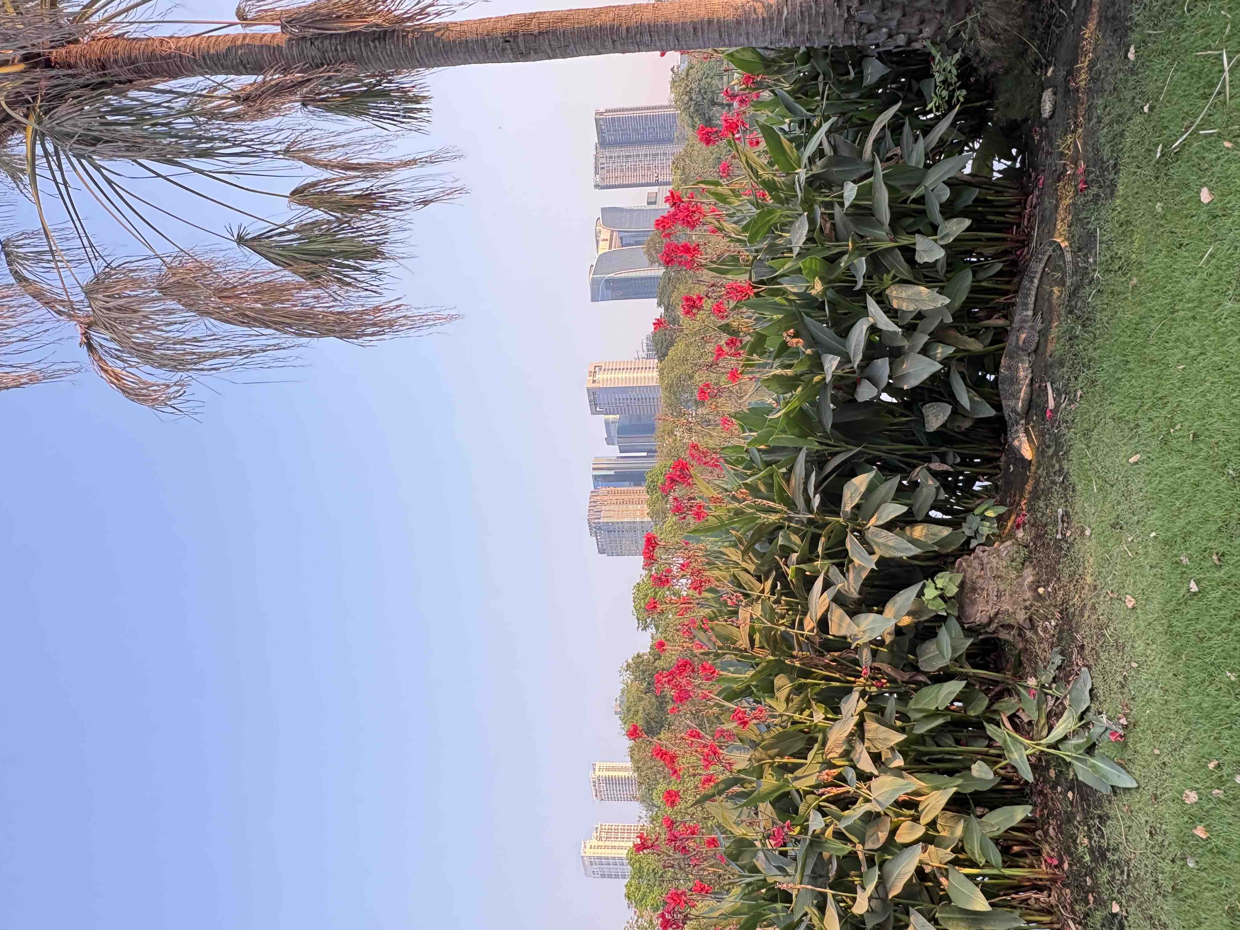 花とオオトカゲ