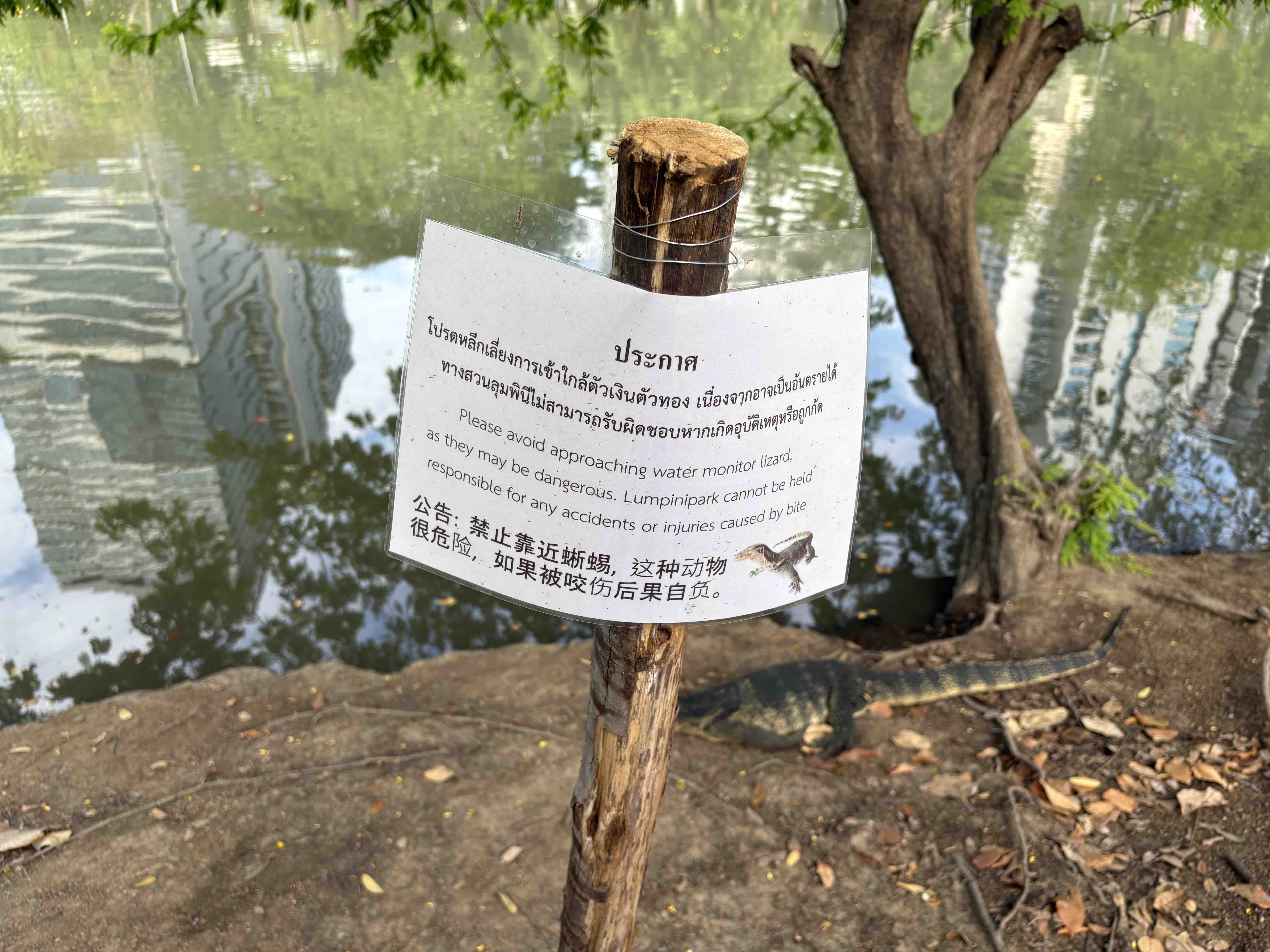 オオトカゲ注意の看板