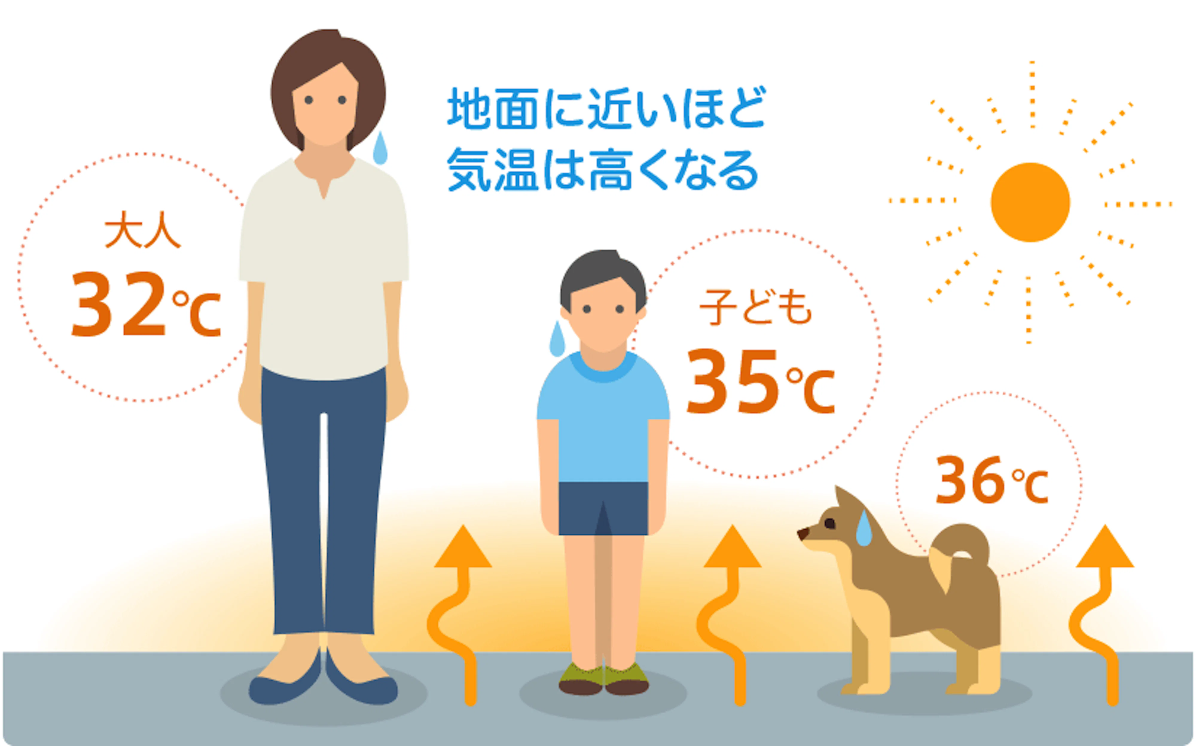 地面に近いほど気温は高くなる。大人32度、子ども35度、犬などの動物36度