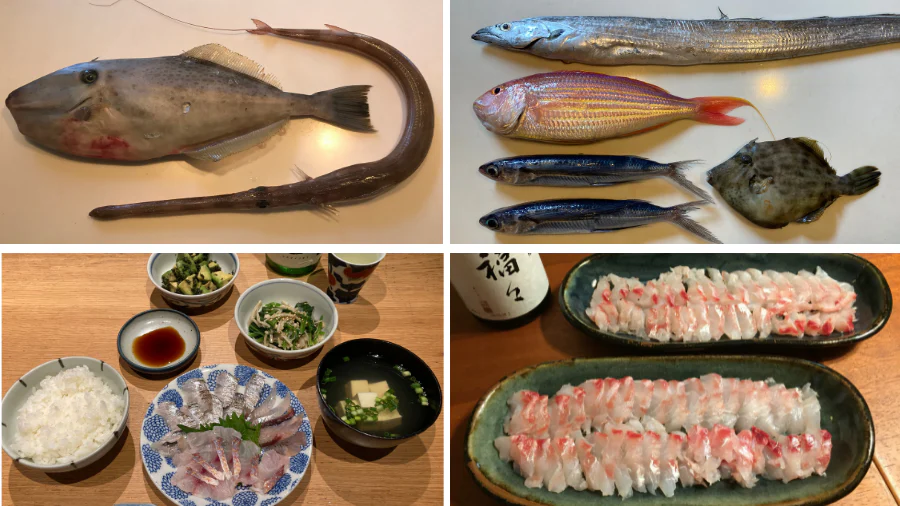 朝市で仕入れる魚の刺身は絶品！
