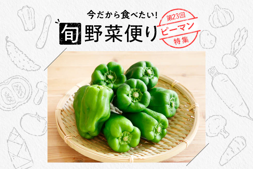 旬野菜便り♪
おいしさ無限大!
ピーマンを食べつくそう☆