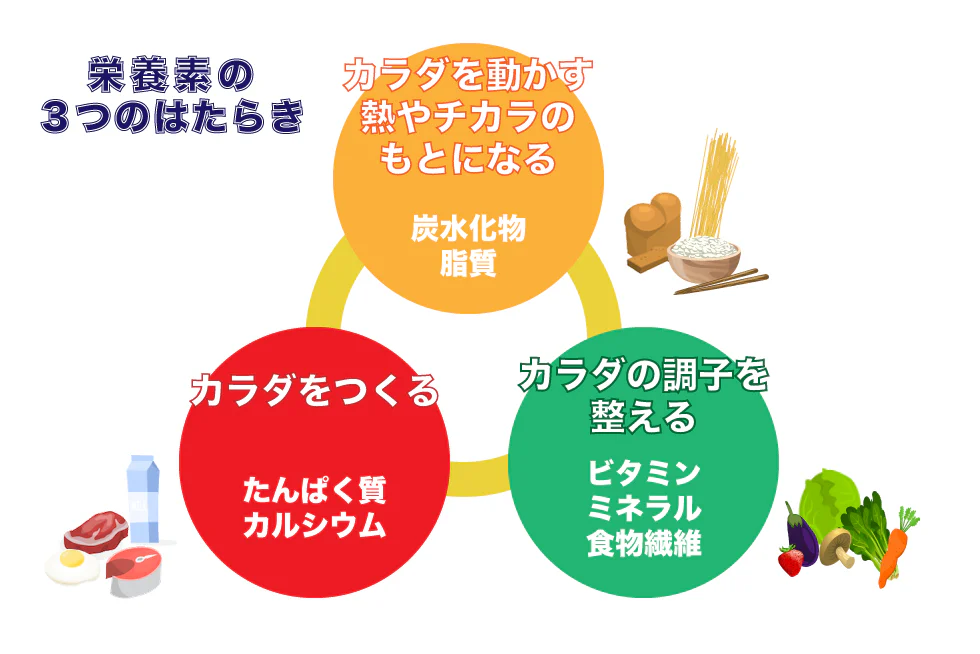 栄養素の3つのはたらき。カラダを動かす熱やチカラのもとになる炭水化物、脂質。カラダの調子を整えるビタミン、ミネラル、食物繊維。カラダをつくるたんぱく質、カルシウム。