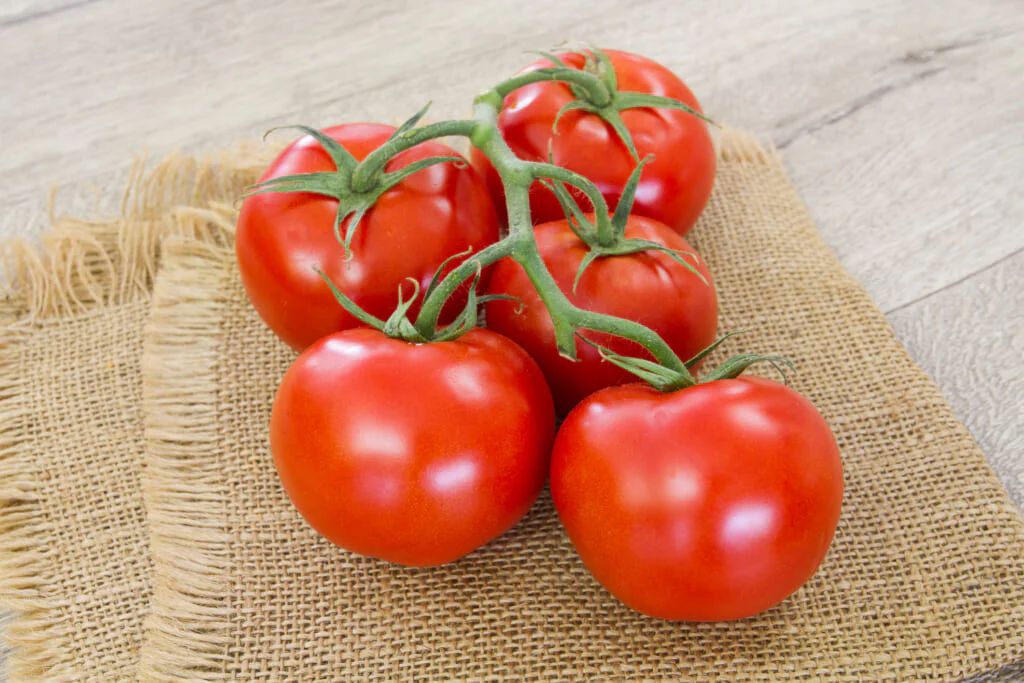 初夏のトマトは味が濃い？おいしいトマトの選び方
