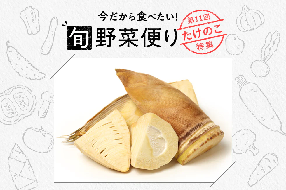 旬野菜便り♪
たけのこの基本のゆで方と
おすすめレシピをご紹介！
