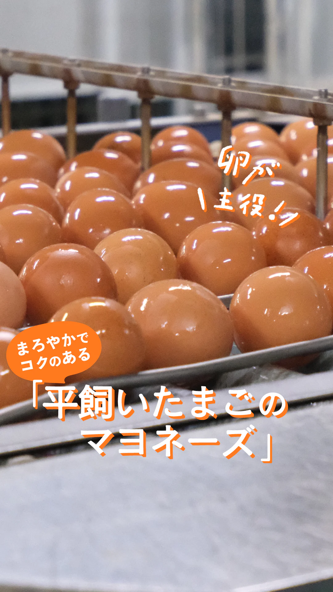 卵の秘密に潜入！「平飼いたまごのマヨネーズ」のおいしさの秘密