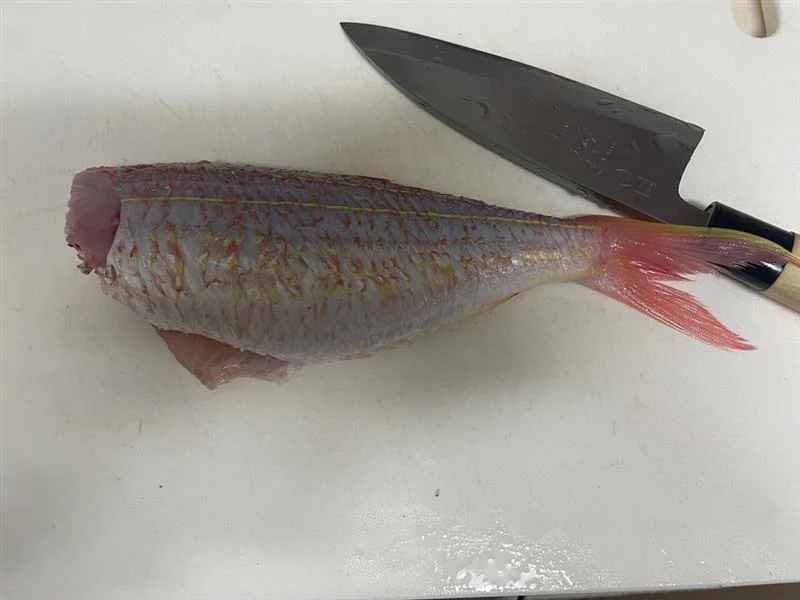 おいしいもの好きは、学生時代も健在！