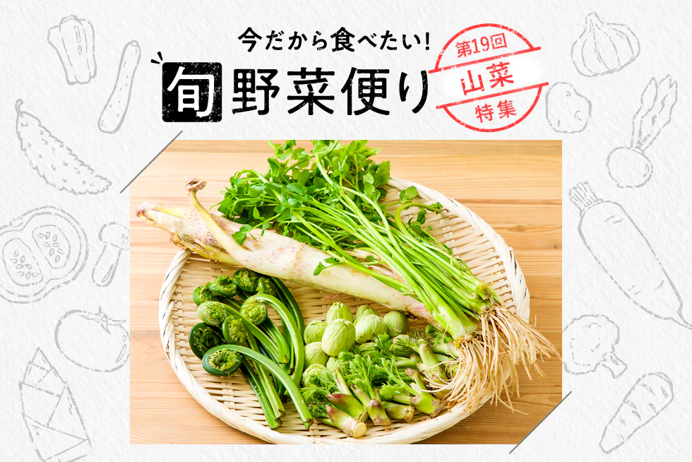 旬野菜便り♪
春めく山菜の魅力&堪能レシピ