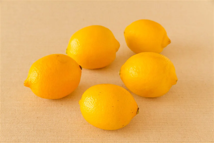 塩レモン（輪切り・乱切り）のつくり方_1_1