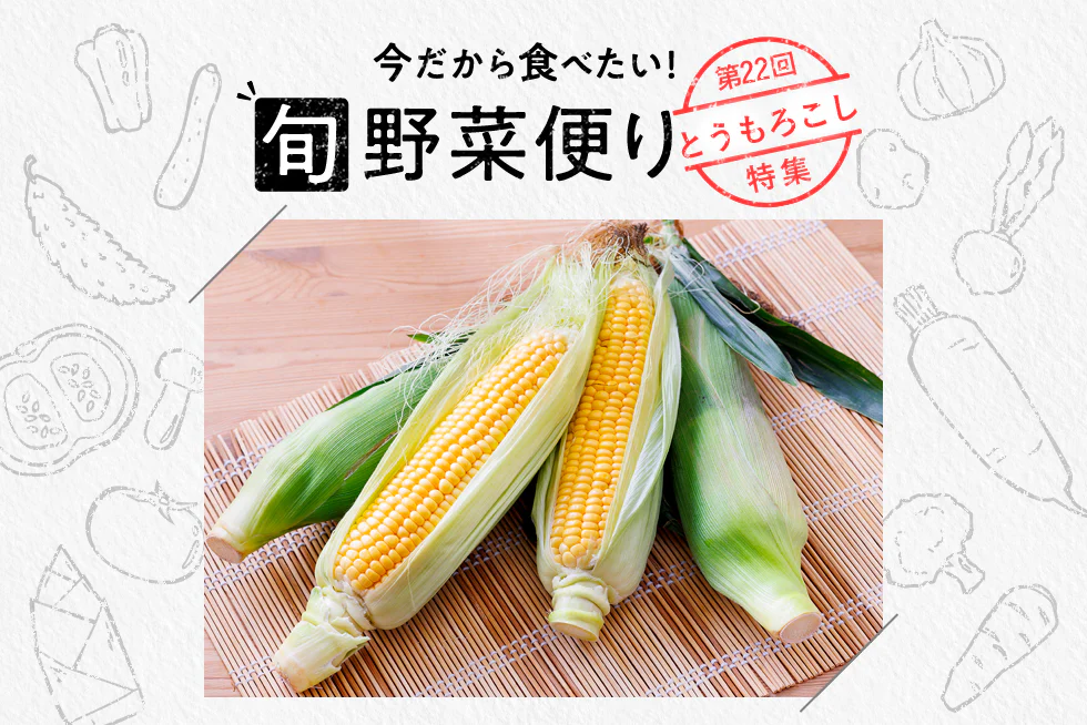旬野菜便り♪
甘味堪能◎
とうもろこし調理のコツ☆