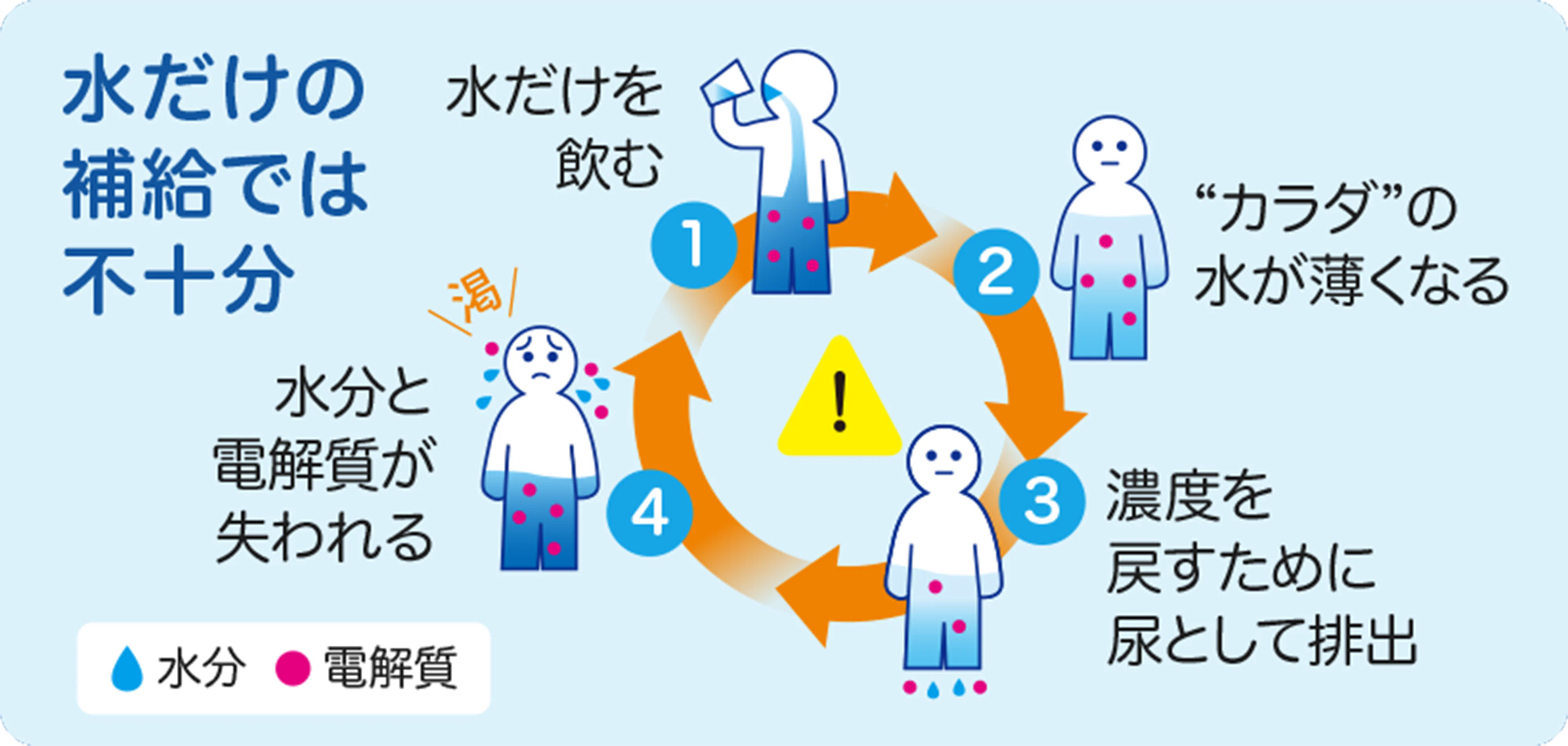 熱中症対策の大事なポイント水だけの補給では不十分。水だけを飲む。カラダの水が薄くなる。濃度を戻すために尿として排出。水分と電解質が失われる。