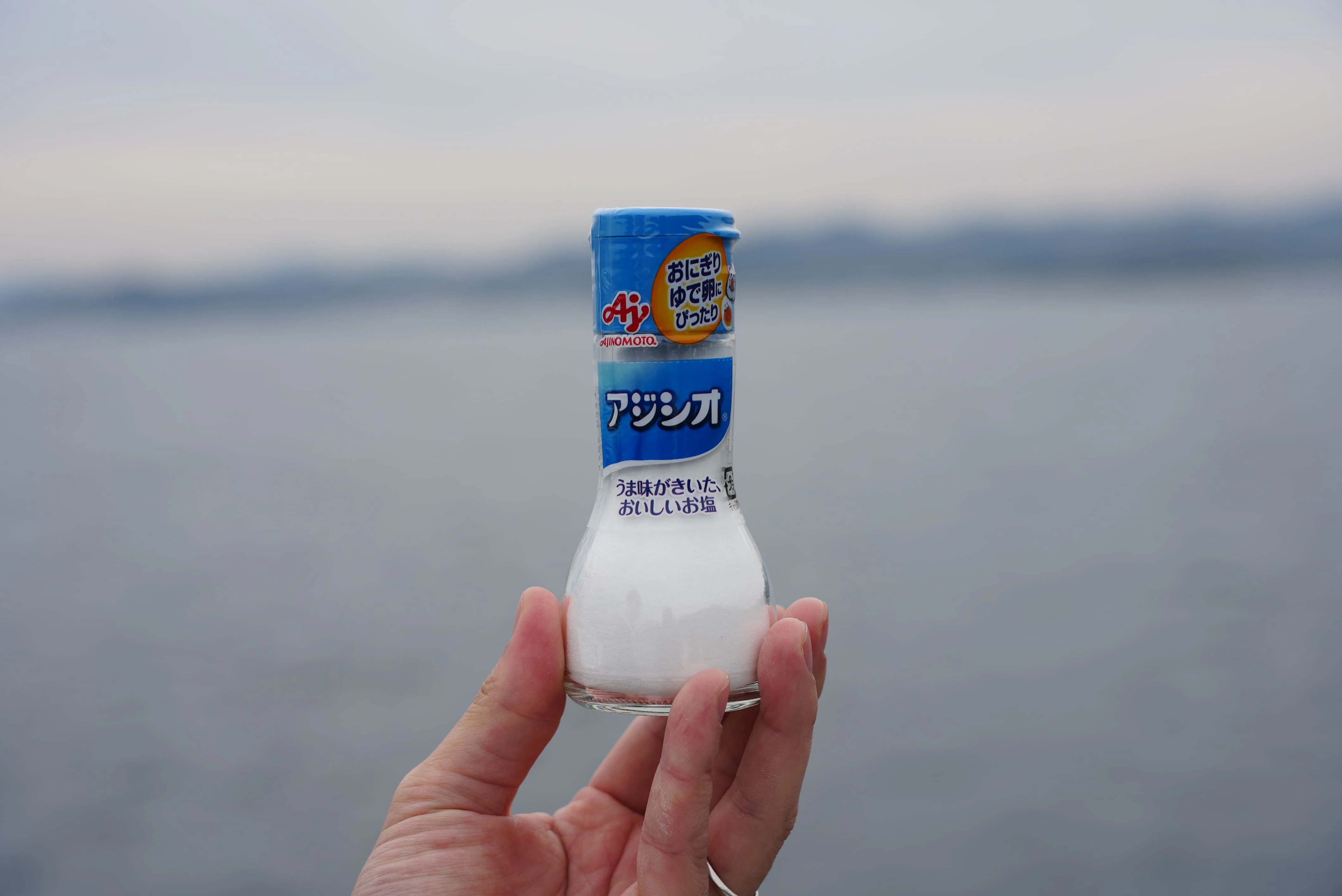 アジシオの画像