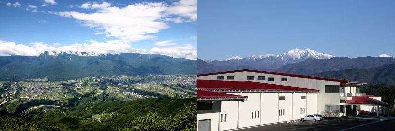自然豊かな土地にある内堀醸造のアルプス工場。
