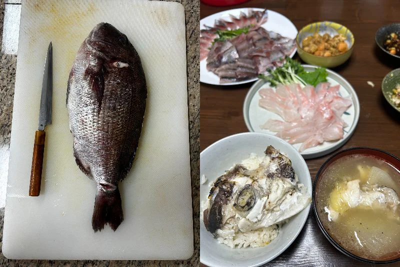 左:春鯛 右:春鯛でつくった鯛飯、お刺身、あら汁