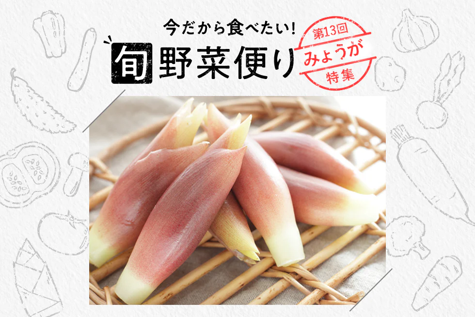 旬野菜便り♪
みょうがの切り方＆食べ方！
夏こそ香味野菜を
