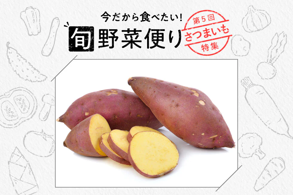 旬野菜便り♪
食欲の秋到来!
さつまいもを味わい尽くそう