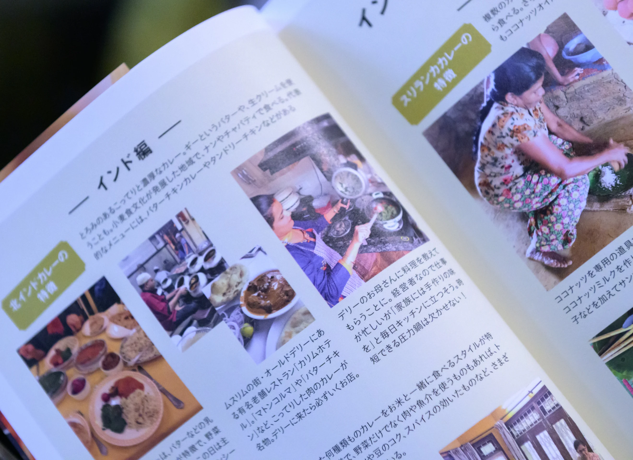 著書「からだ整えカレー」の中身