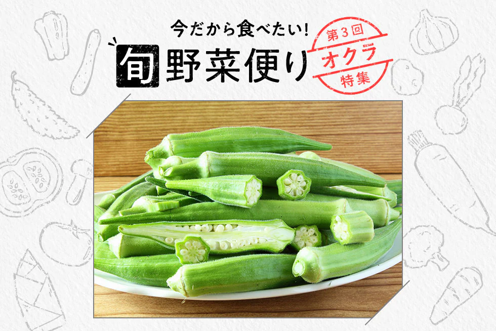 旬野菜だより♪
ネバネバを楽しもう☆
オクラの魅力を解説