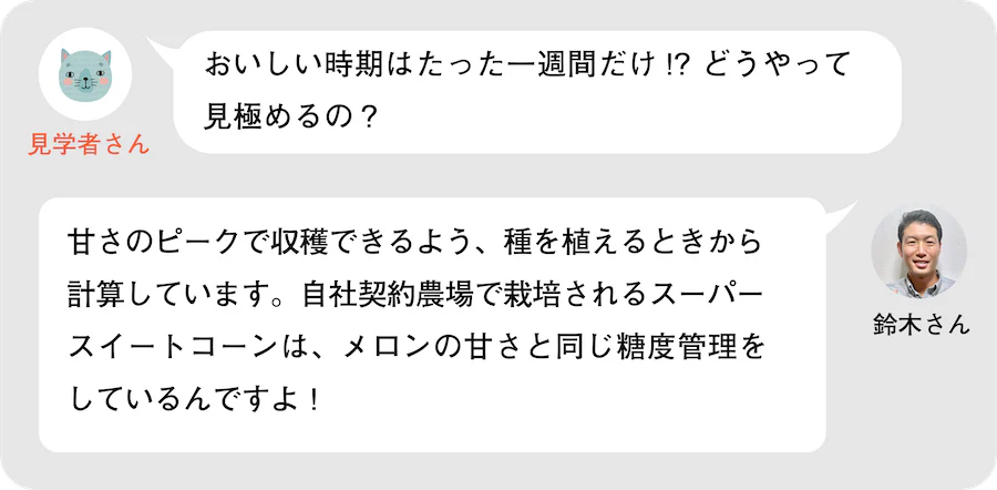 見学者さん。おいしい時期はたった一週間だけ！？どうやって見極めるの？鈴木さん。甘さのピークで収穫できるよう、種を植えるときから計算しています。自社契約農場で栽培されるスーパースイートコーンは、メロンの甘さと同じ糖度管理をしているんですよ！