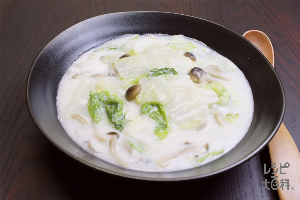 白菜としめじのクリーム煮