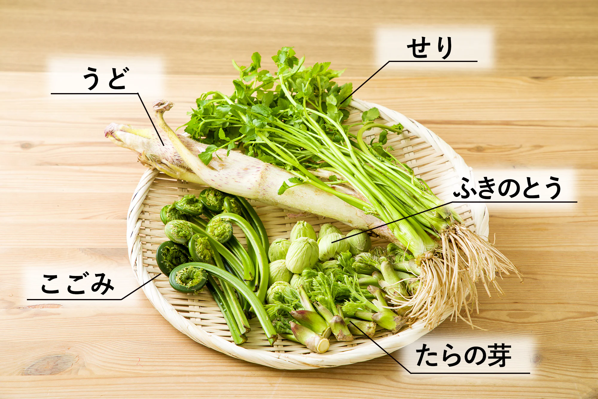 山菜の種類と特徴