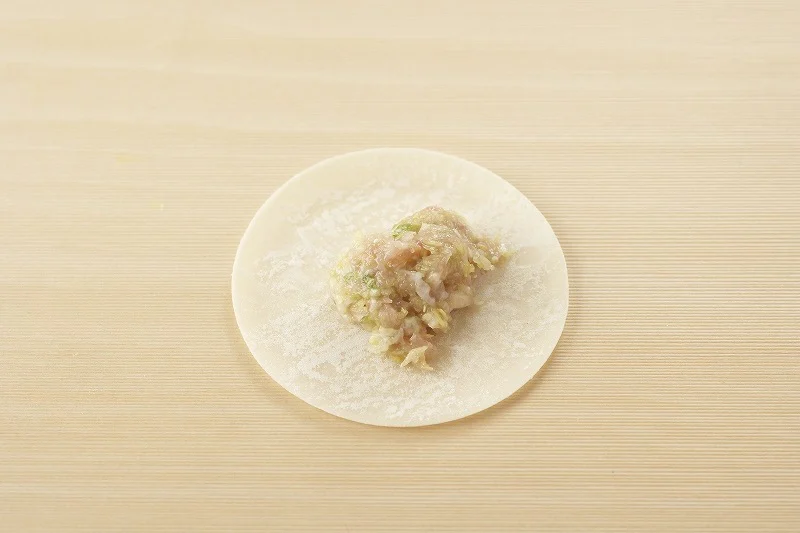 簡単ギョーザのつくり方_3_1