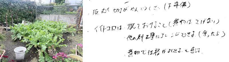 当時の西谷さんメモと、訪問先ご家庭の庭