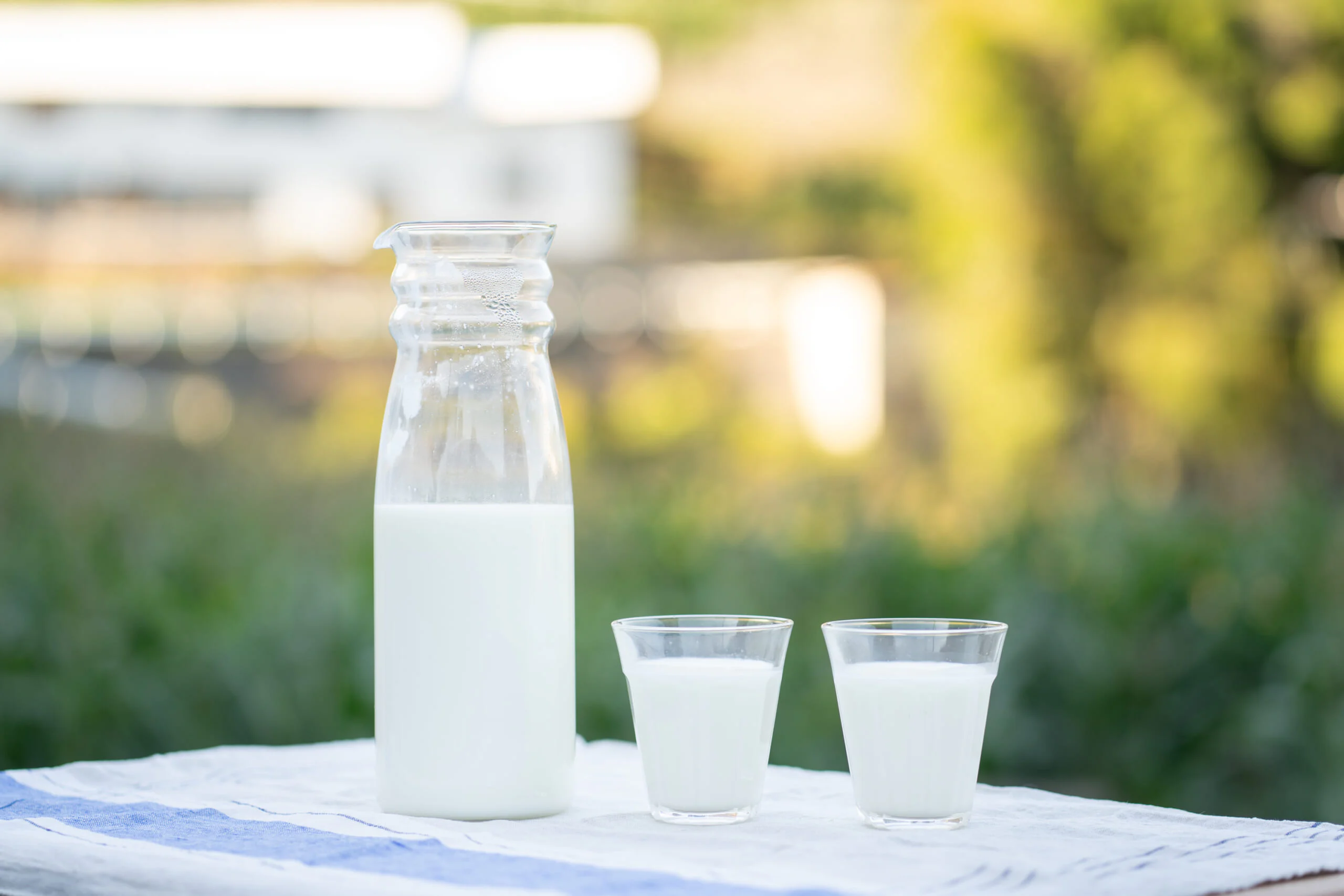 なにより「普通」が、むずかしい。
酪農家さんに聞いた、
牛乳作りへのこだわり