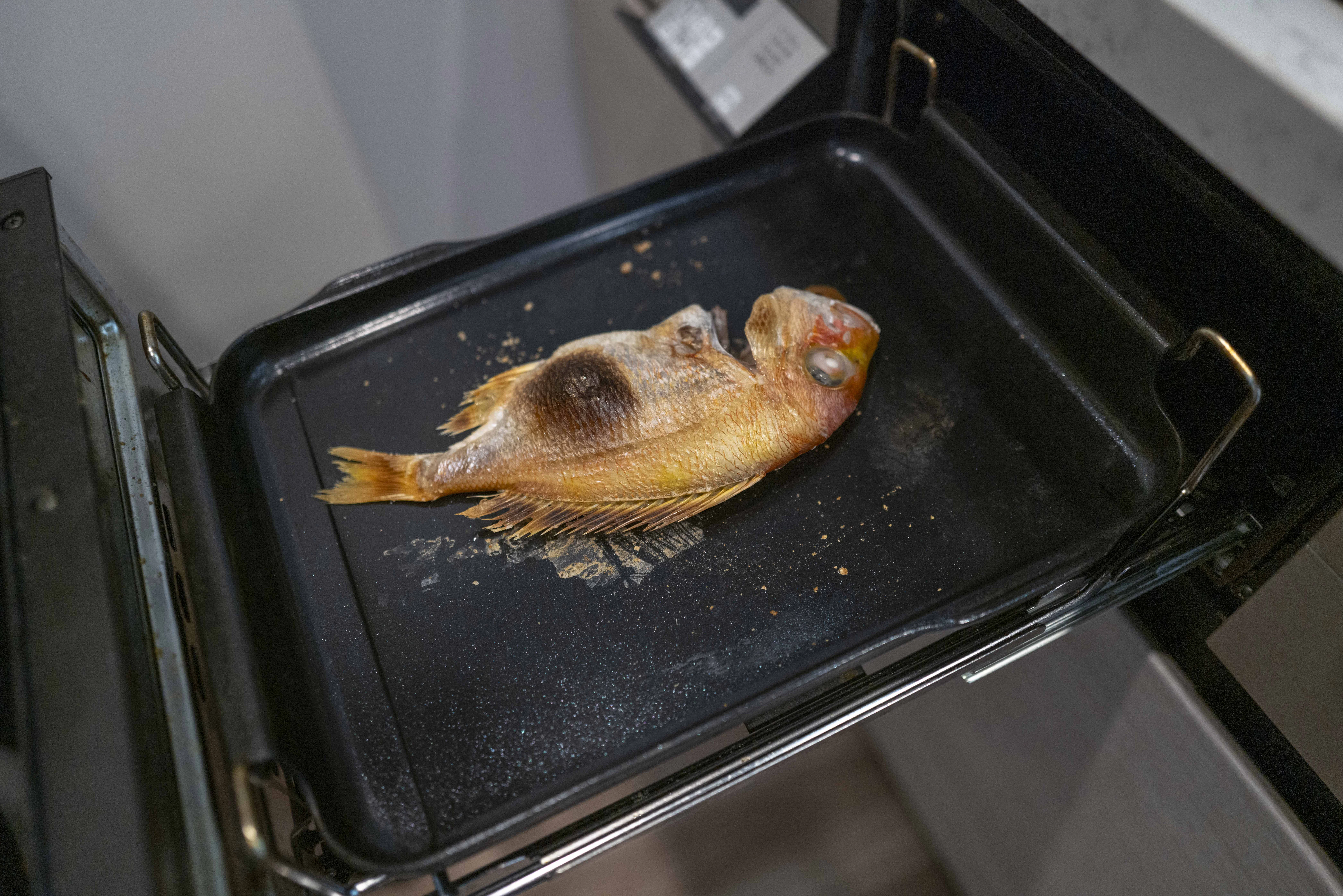グリルで焼かれた鯛