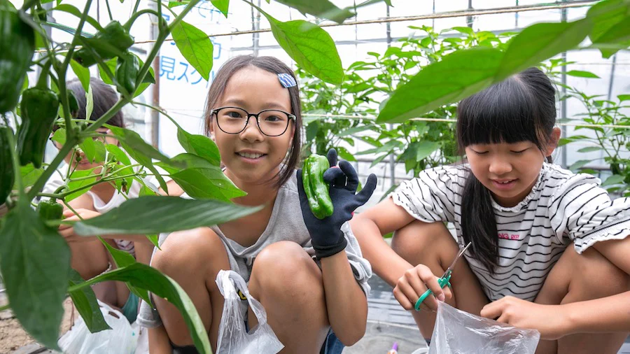 野菜好きが続々！？「Cook Do®」で野菜がもっと身近に