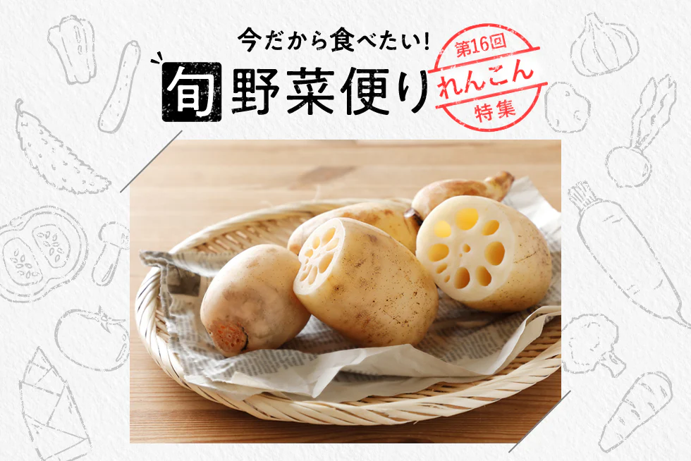 旬野菜便り♪
食感が楽しい！
旬のれんこんを味わおう☆
