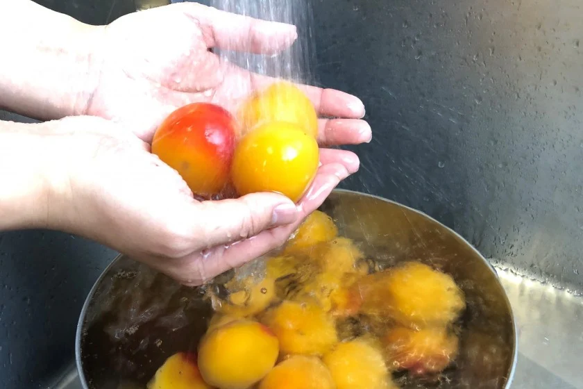 手作り梅干し＜塩分控えめ＞のつくり方_2_2