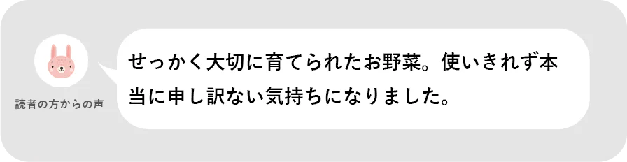 読者の方からの声。せっかく大切に育てられたお野菜。使いきれず本当に申し訳ない気持ちになりました。