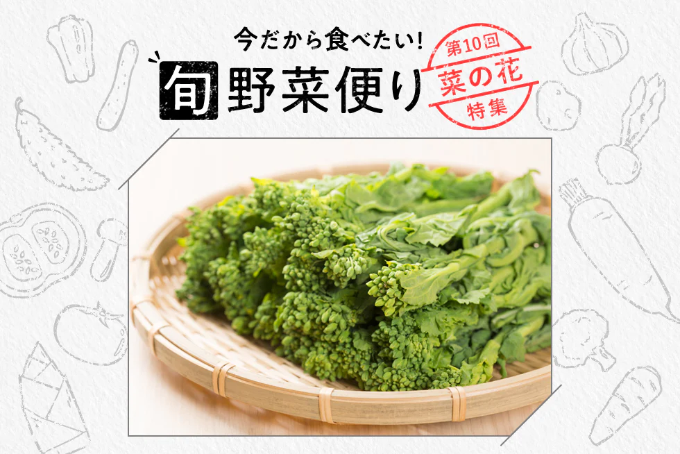 旬野菜便り♪
春野菜の代表！
菜の花の魅力をご紹介☆