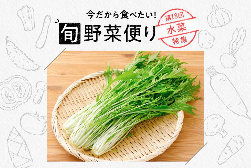 旬野菜便り♪
鍋の定番!
シャキシャキ水菜のアレンジ術♪