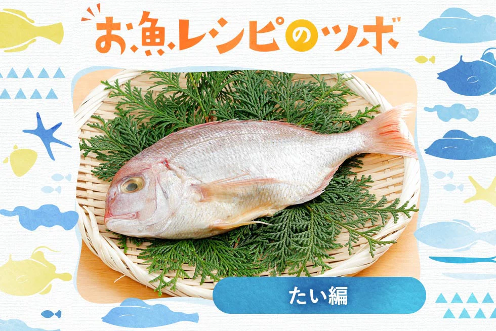 お魚レシピのツボ♪
おめでタイ♪超簡単レシピで
鯛の魅力を知りつくす!!