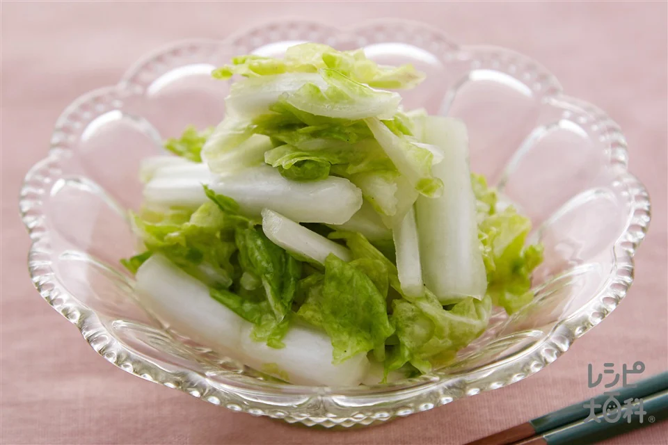 白菜のかんたん漬け