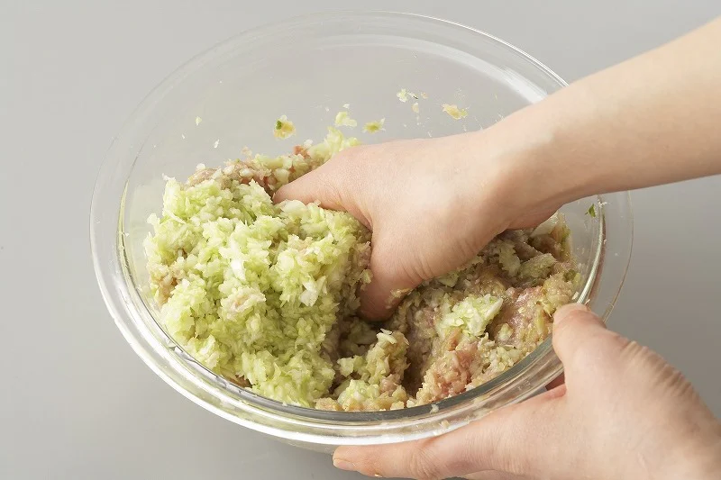 簡単ギョーザのつくり方_2_1