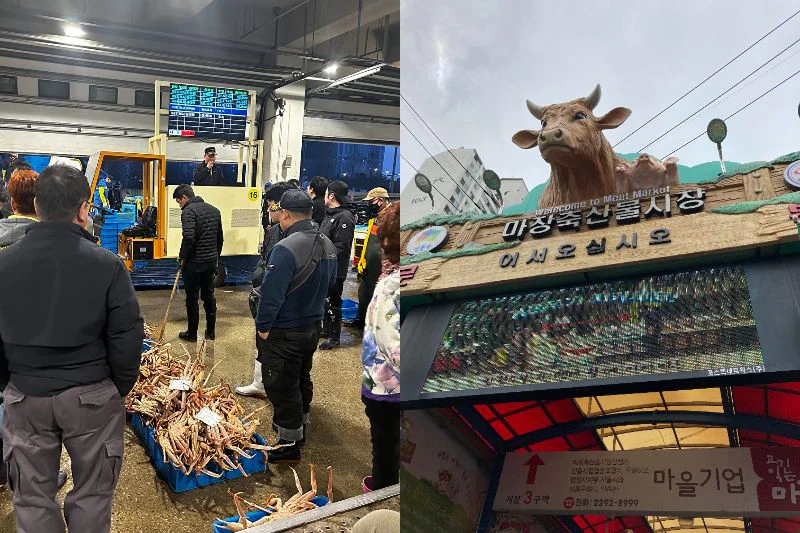 左：魚の市場　右：牛肉市場