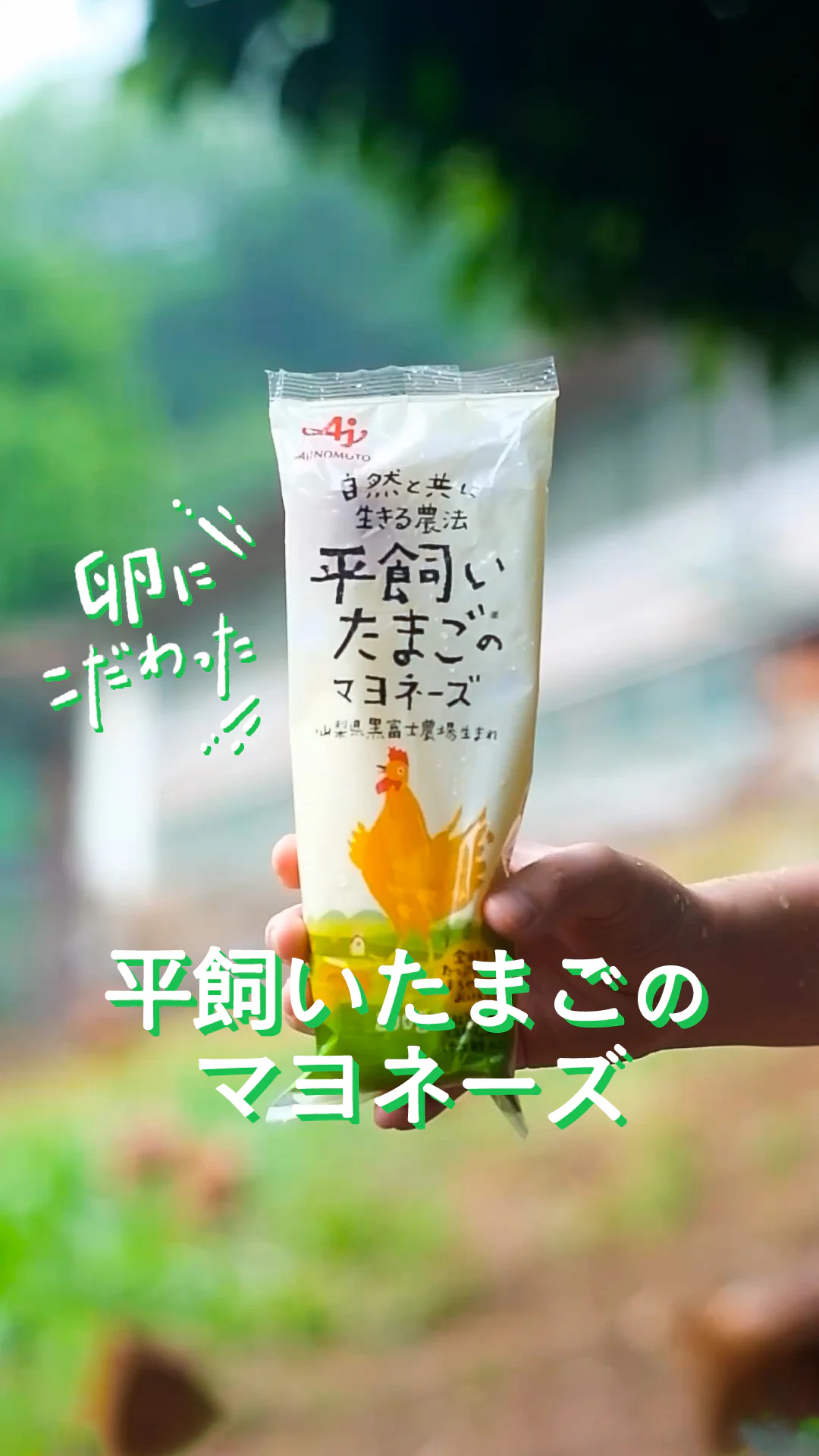マヨネーズの味は卵で変わる！大自然に囲まれた山梨・黒富士農場へ