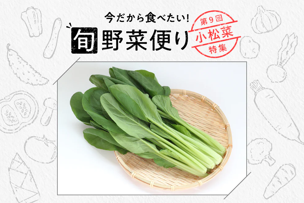 旬野菜便り♪
冬に甘みUP!
旬の小松菜をおいしく食べよう☆