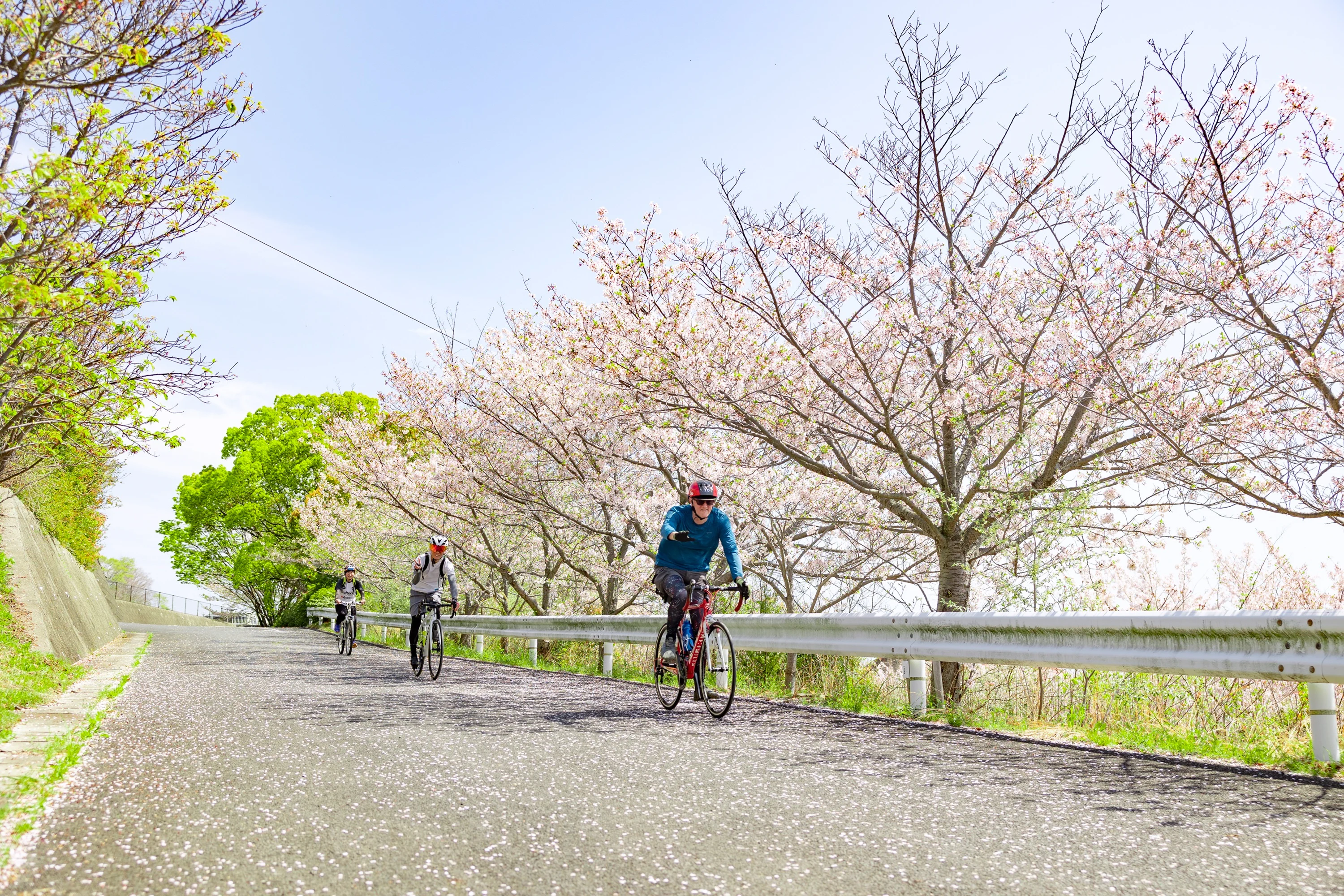 桜の木の下を自転車で通る様子