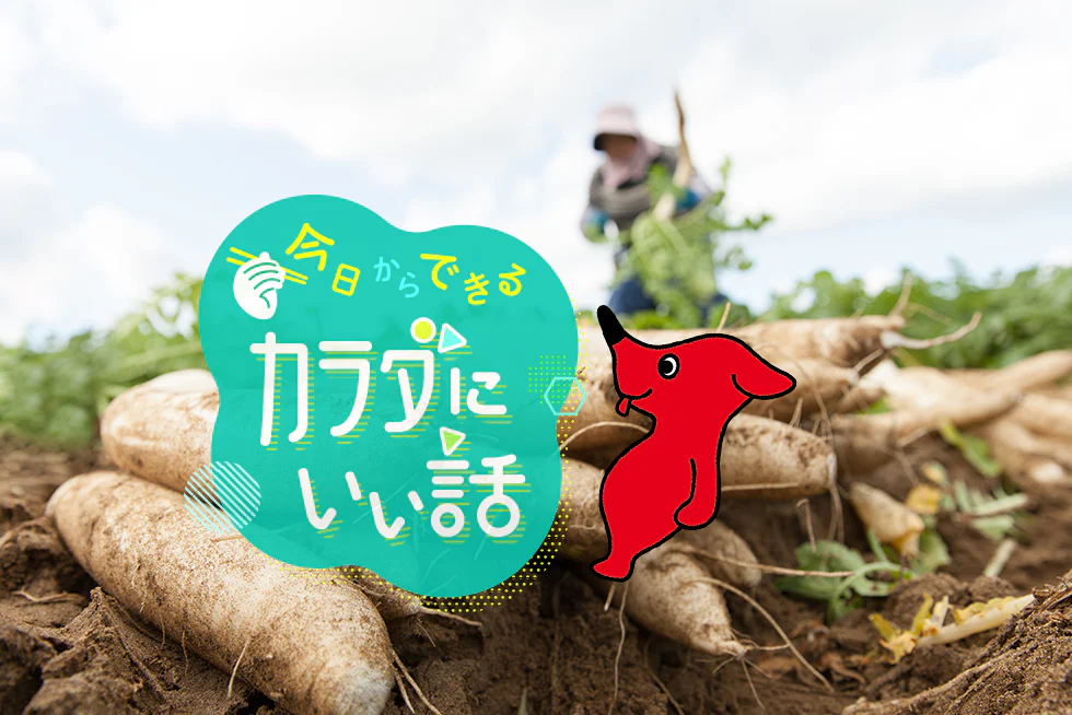 今日からできるカラダにいい話千葉の「チバカツ」で野菜をもっと好きになる!